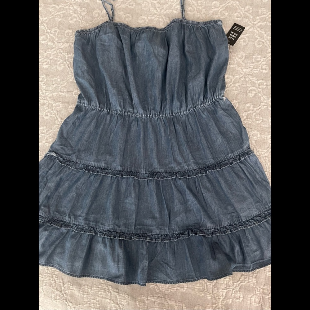Express Denim Dress